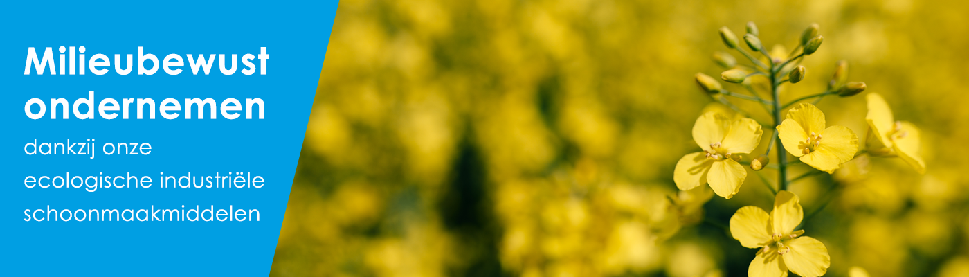 Ecologische schoonmaakmiddelen Ecologische schoonmaakmiddelen