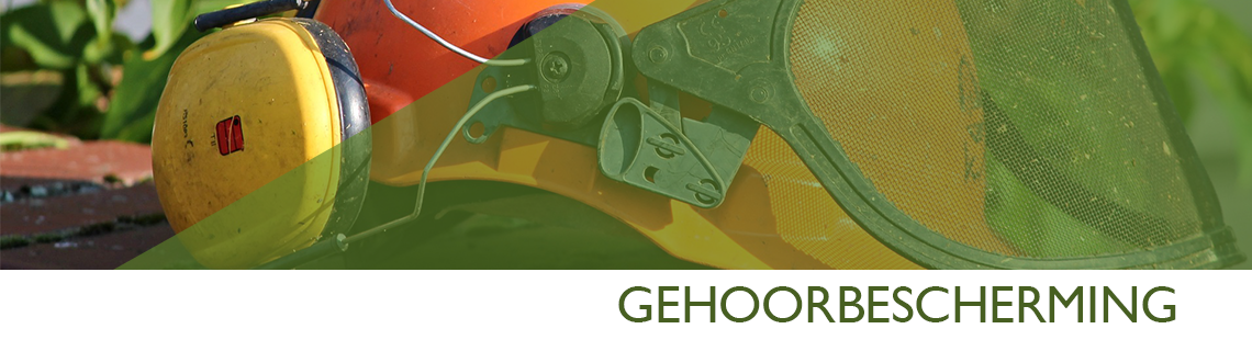 Gehoorschade voorkomen Gehoorschade voorkomen